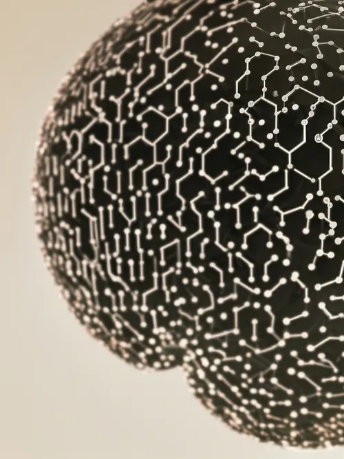 Free Abstract Neural Connections stock image to download Abstract Neural Connections FREE Stock Photo, patterns, molecular, connections picture