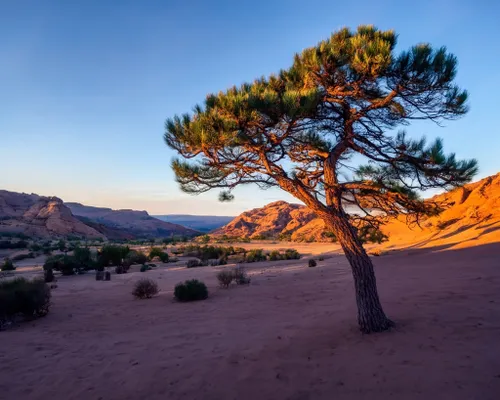 Free Desert Landscape Serenity stock image to download Desert Landscape Serenity FREE Stock Photo, desert, sunset, landscape picture