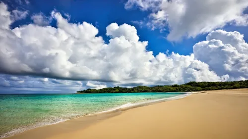 Tropical Beach Serenity