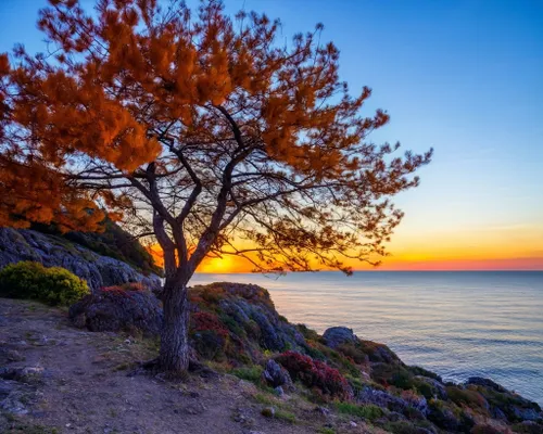 Free Vibrant Sunset Seascape stock image to download Vibrant Sunset Seascape FREE Stock Photo, sunset, seascape, nature picture